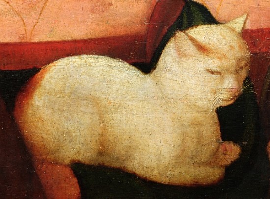 A white cat, detail from ''Four People Laughing at the Sight of a Cat'' (detail of 221426) a Niccolo Frangipane