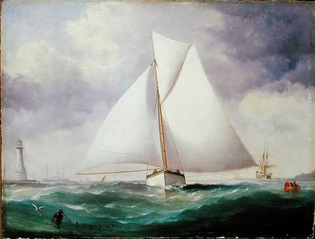 The Spinnaker Sail a Nicholas Matthews Condy