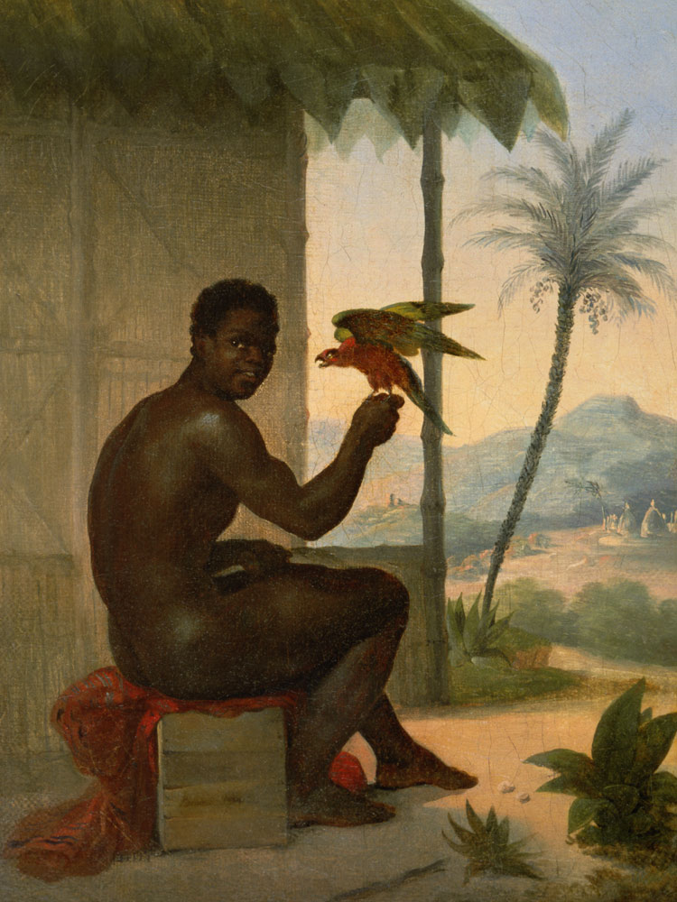 Brazilian negro with Tropical Bird a Nicolas Antoine Taunay