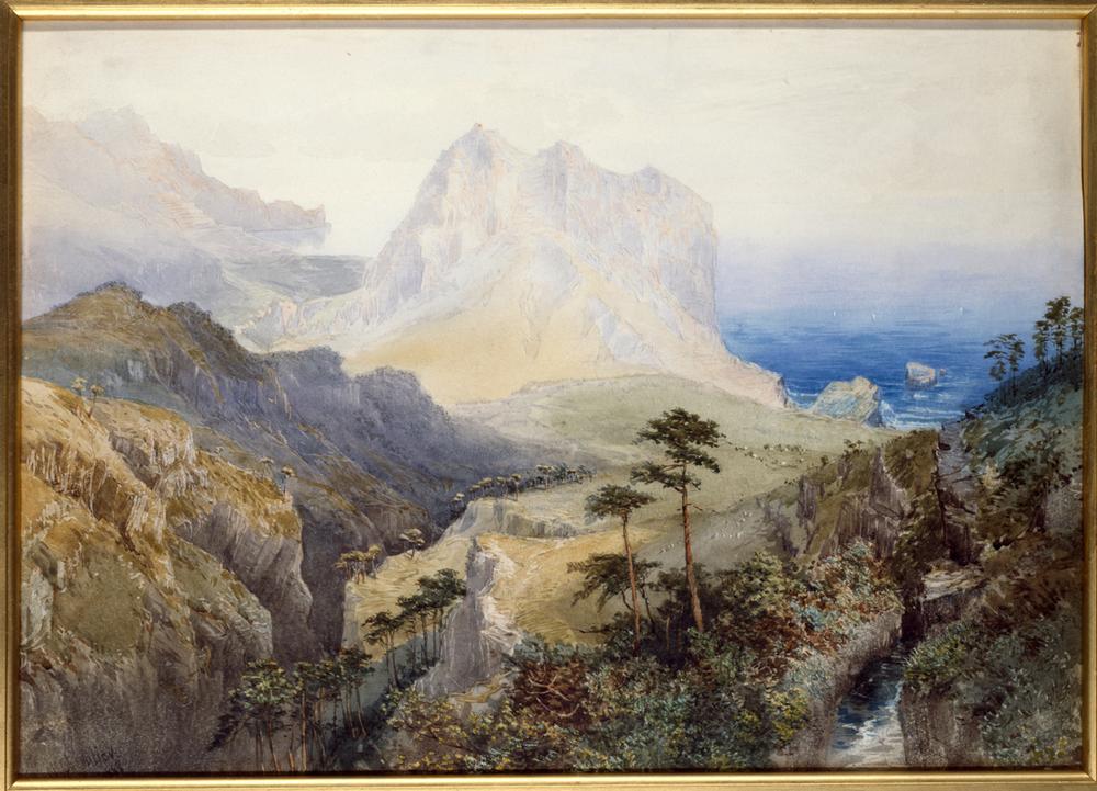 A Gorge near the Sea, Southern Alps, New Zealand a Nicolas Chevalier
