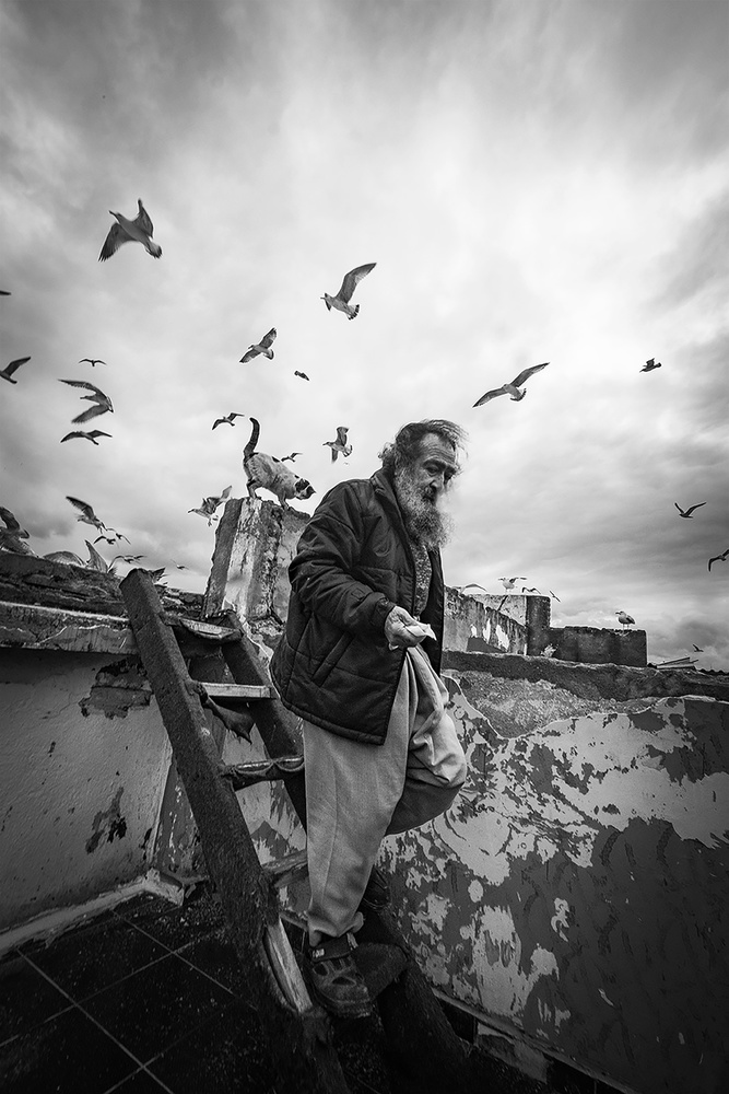 Man feeding seagulls a Nihal Eken