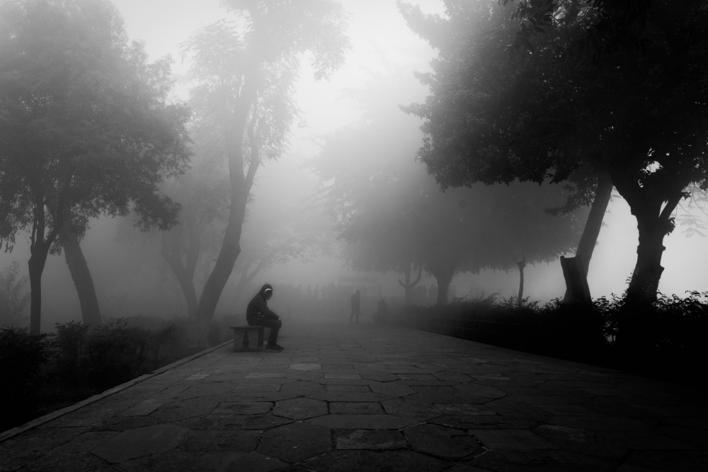 The Fog a Nilendu Banerjee