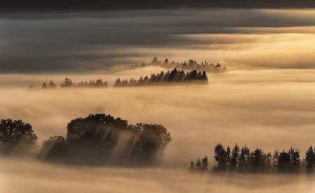 Sea of fog...