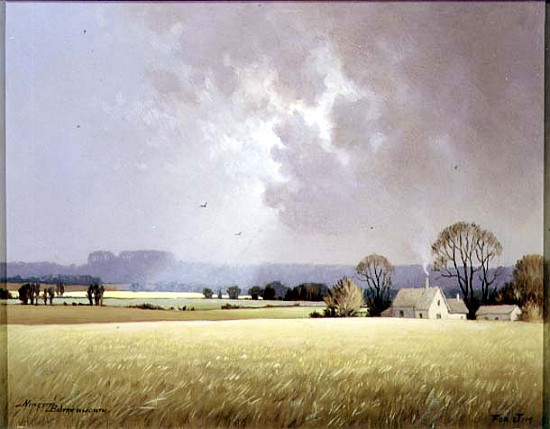 Autumn Sunlight, 1982 (oil on canvas)  a Ninetta  Butterworth