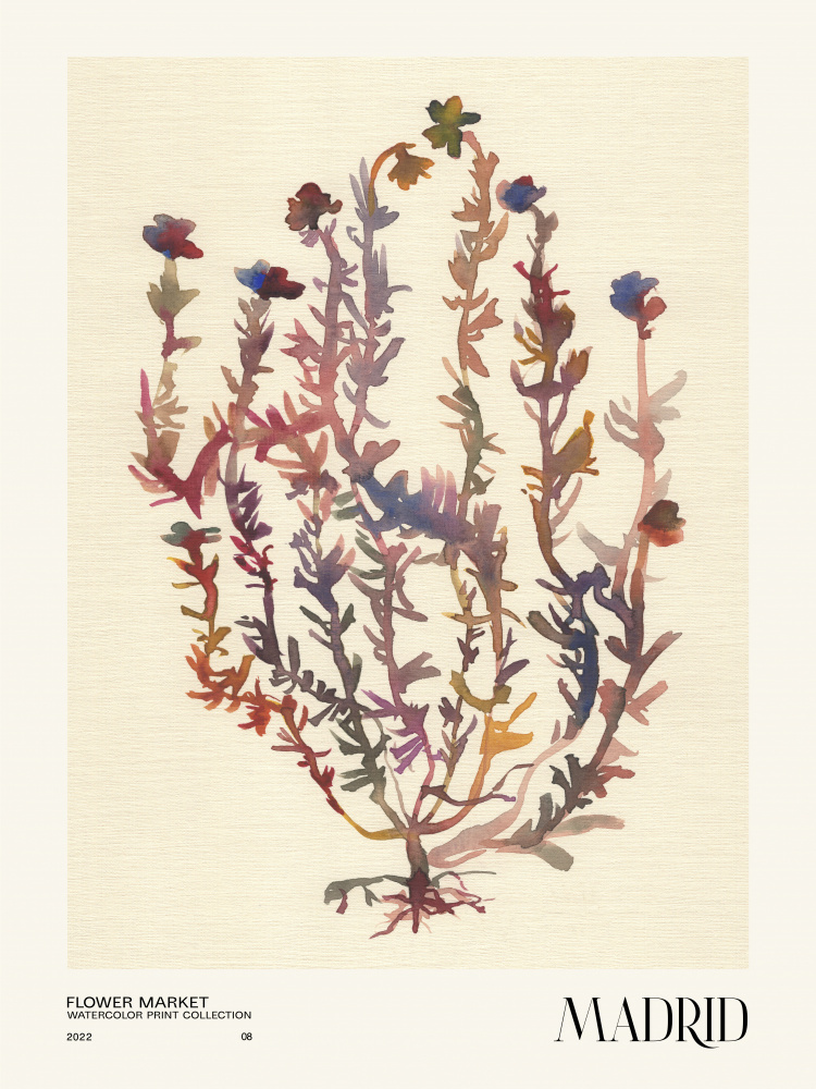 Watercolor print collection. Flower market - Madrid a NKTN