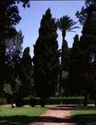 View of the garden, designed by Giacomo Vignola (1507-73) for Cardinal Alessandro Farnese (1546-92)