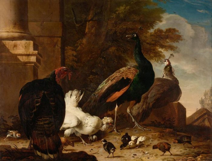 A Hen with Peacocks and a Turkey a 