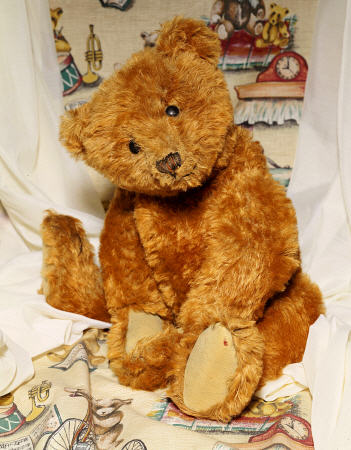 A Cinnamon Steiff Teddy Bear, C 1905 a 