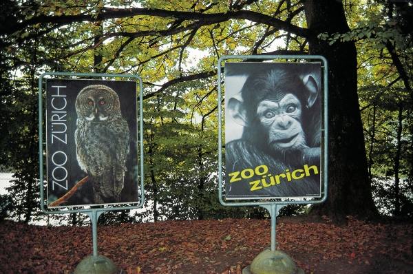 Animal signboards (photo)  a 