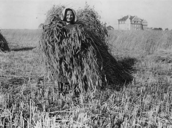 Peasant Woman / Harvest / after 1914 a 