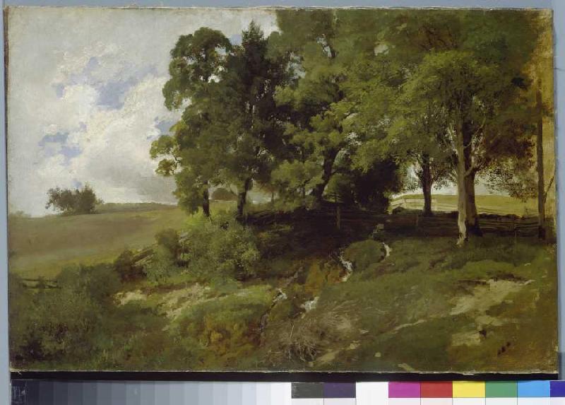 Baumlandschaft, um 1880/85 a 