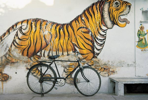 Bicycle at wall painting of tiger , Udaipur, Rajasthan, India (photo)  a 