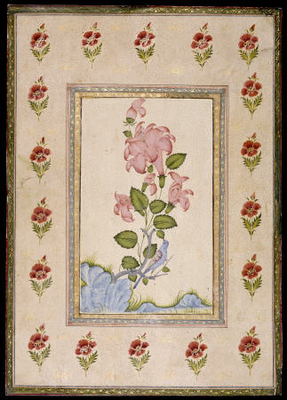 Bird And Flower Study, Mughal India a 