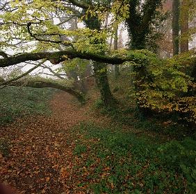 Briar Borus Fort, Killaloe