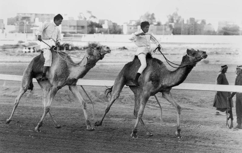 Camel race in Saudi Arabia in honour of Queen Elizabeth II's visit to to the Middle East a 