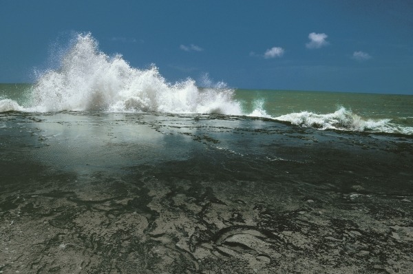 Chorwad known mainly for giant waves breaking against algae-covered rocks (photo)  a 