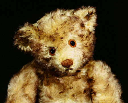 Close Up Of A Steiff ''Dual'' Mohair Teddy Bear, C, 1926 a 