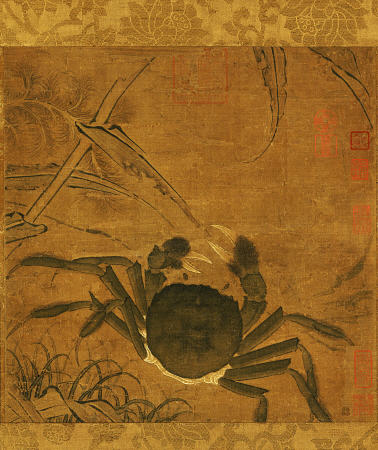 Crab Among Grass And Bamboo a 