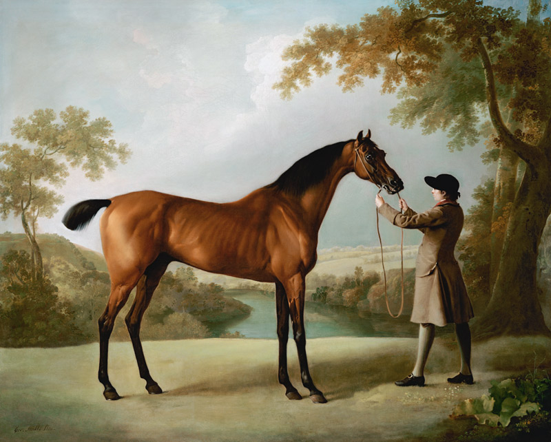 Tristram Shandy, A Bay Racehorse Held By A Groom In An Extensive Landscape a 