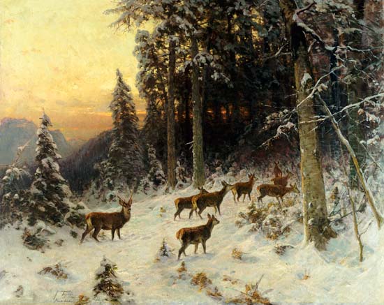 Deer In Winter Wooded Landscape a 