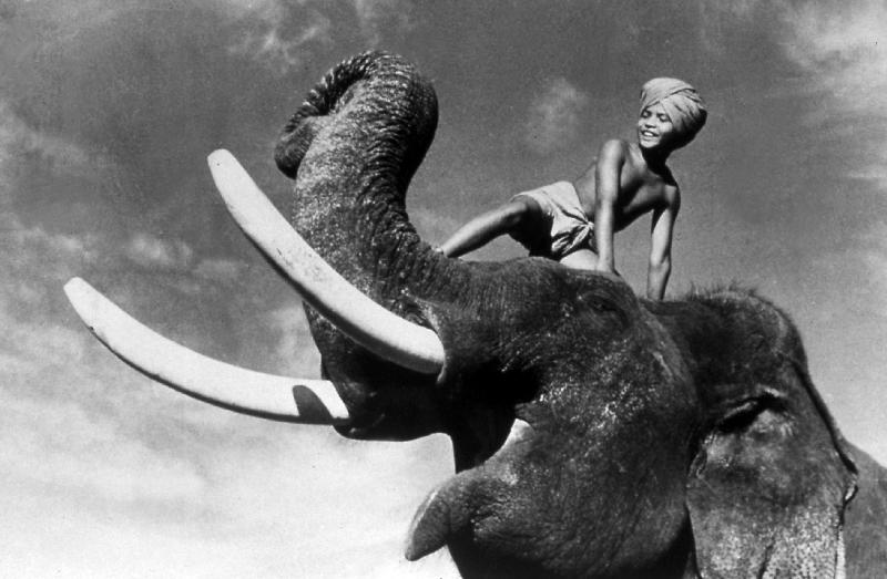 ELEPHANT BOY, de RobertFlaherty et ZoltanKorda avec Sabu a 