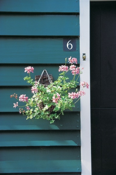 Flower-pot hung from peg on one of the door''s blue slats showing six number (photo)  a 