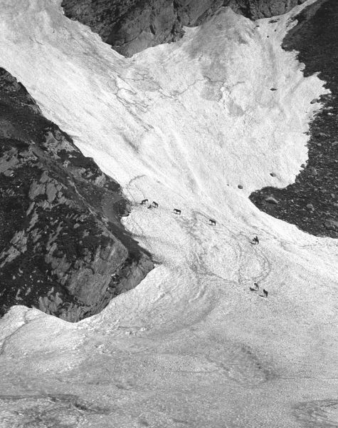 Goats crossing snow tongue, Amarnath caves (b/w photo)  a 