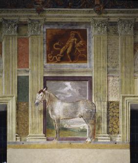 Giulio Romano, Pferd der Gonzaga