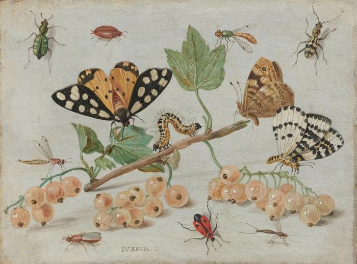 Insects and Fruit a 