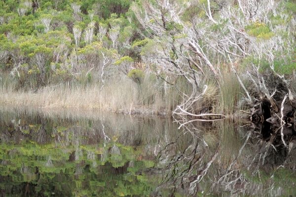 Loch Maree II (photo)  a 