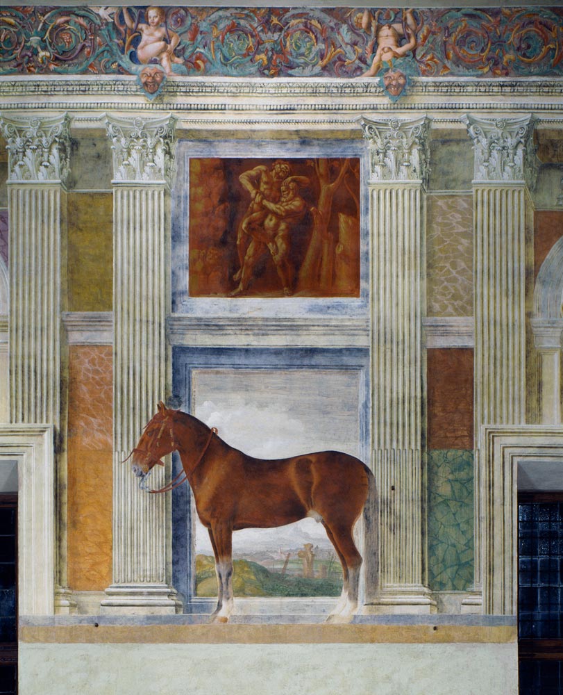 Mantua, Palazzo del Te, Sala dei Cavalli a 