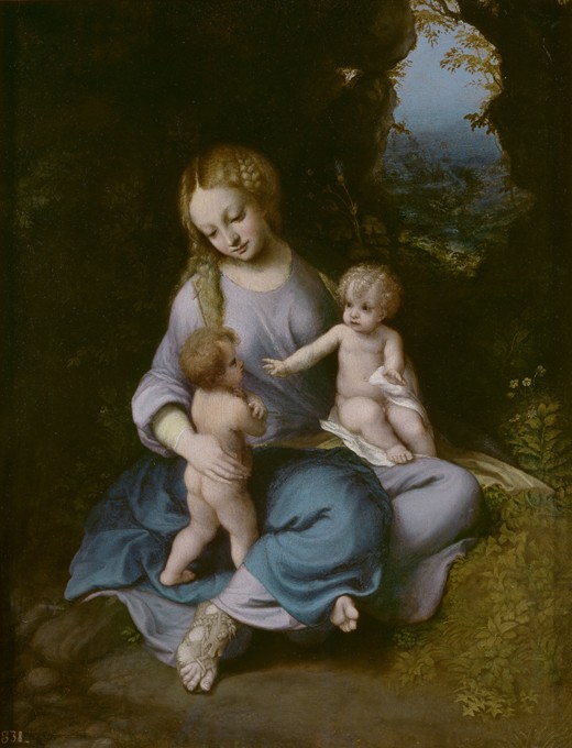 Virgin and child with John the Baptist as a Boy a 