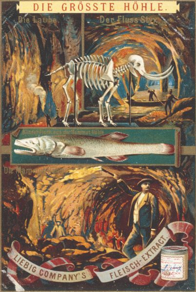 Mammoth Cave , Liebig Card a 