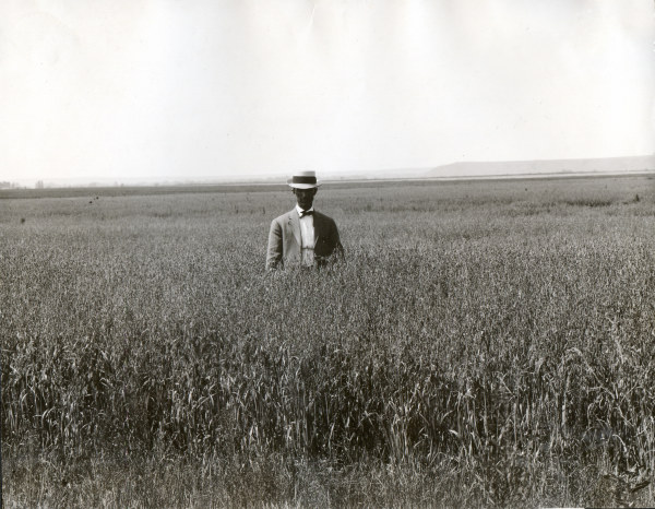 Man in oat field / South Dakota / Photo a 