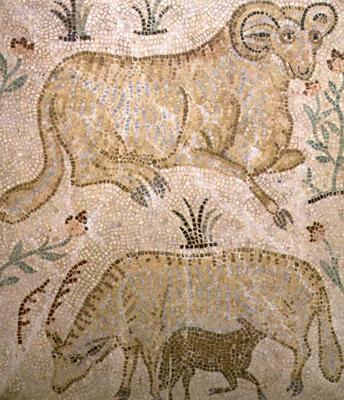 Mosaic plaque depicting a ram and a ewe suckling a lamb, possibly Greek a 