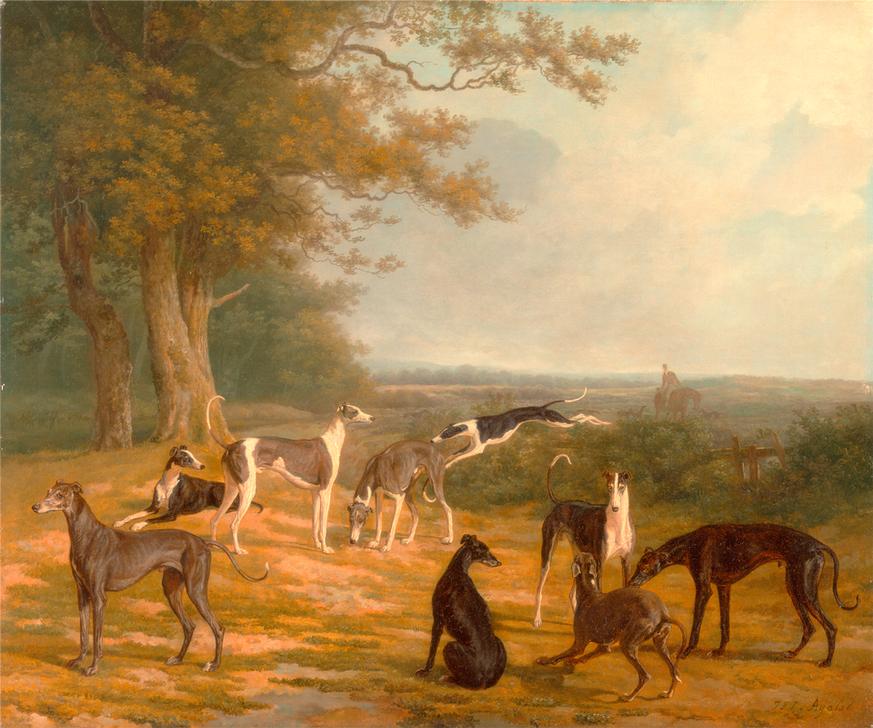 Nine Greyhounds in a Landscape Signed a 