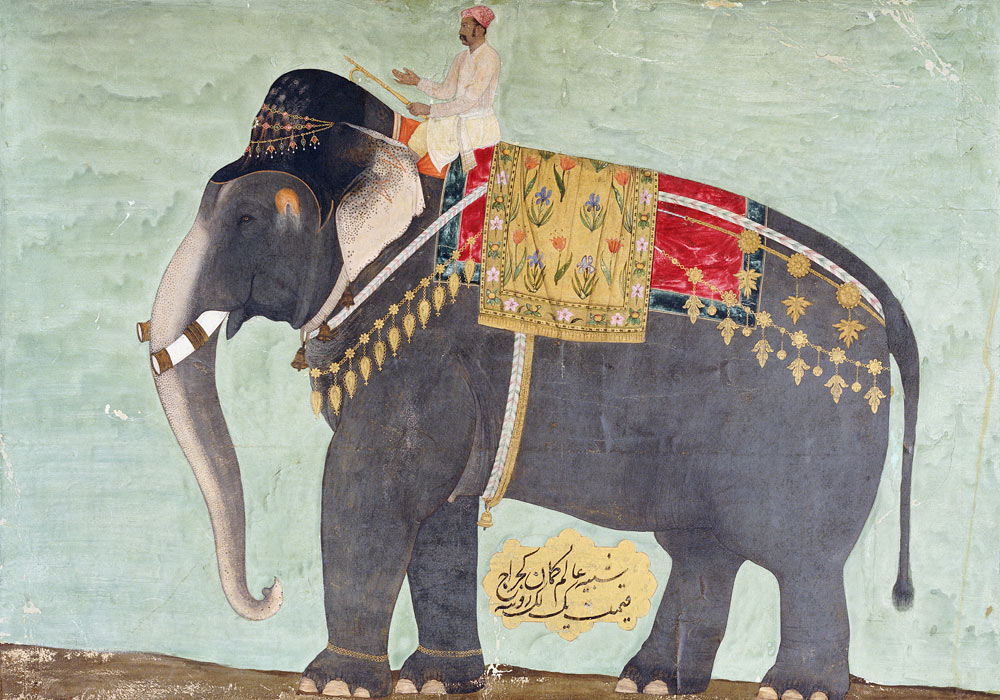 Portrait Of The Elephant  ''Alam-Guman Gajraj'' a 