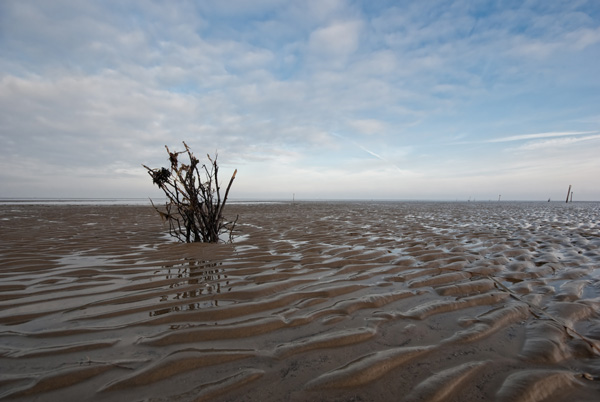 Mare di Wadden vicino a Cuxhaven a 