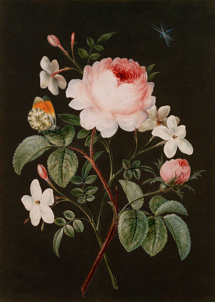 Rose and jasmine flower arrangement a 