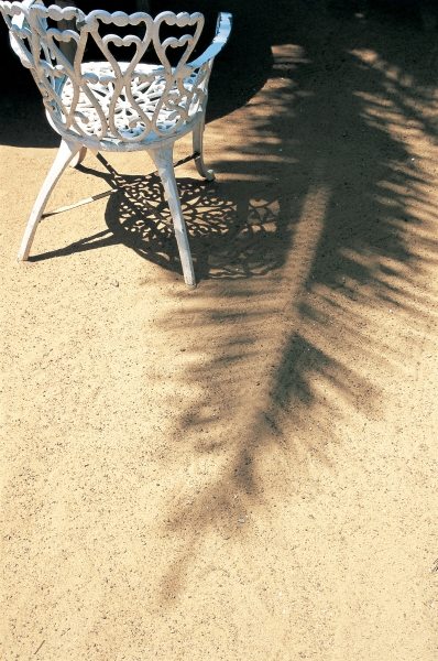 Shadow of coconut leaf straight below wrought-iron chair (photo)  a 