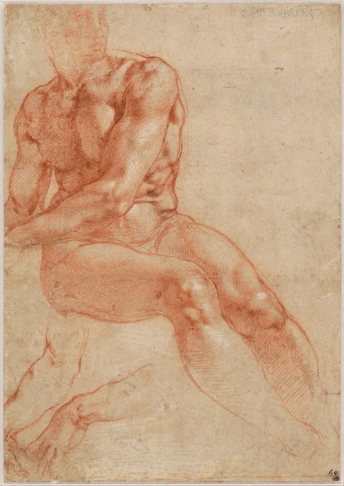 Seated Young Male Nude and Two Arm Studies a 
