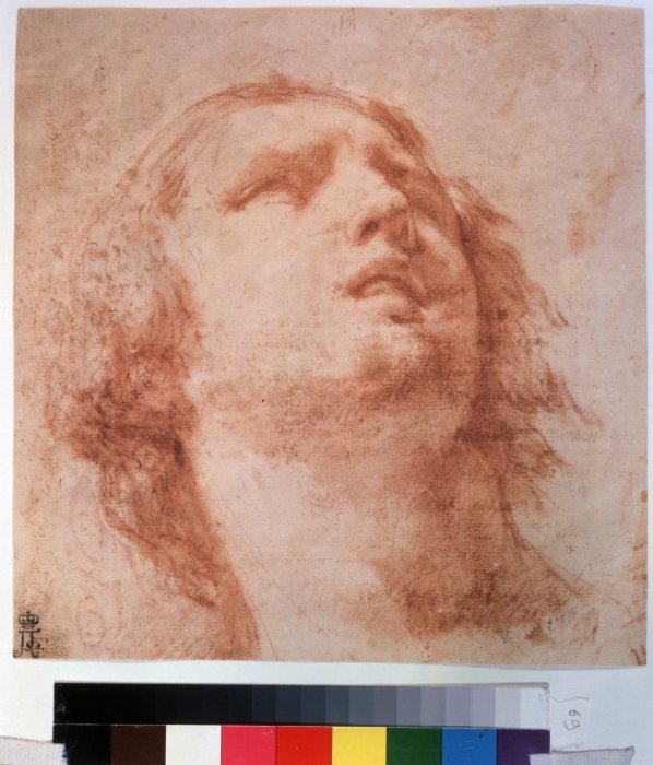 Head study of a woman looking up a 