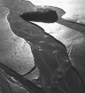 Sand, Porbandar (b/w photo) 