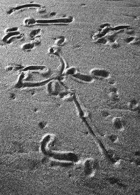 Sand surface, Porbandar II (b/w photo) 