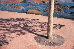 Shadow of tree marked passage of time on foot-path (photo) 