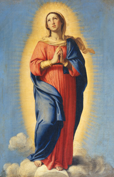 The Immaculate Conception a 