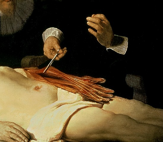 The Anatomy Lesson of Dr. Nicolaes Tulp, 1632 (detail of 7543) a 