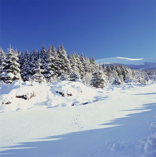 The Wicklow Mountains in Winter a 
