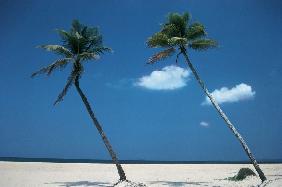 Typical beach of Goa (photo) 