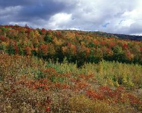 View in the Appalachian Mountains (photo) 